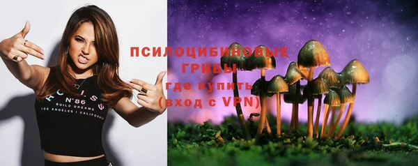 таблы Богородицк