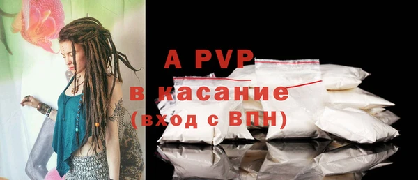 спайс Богданович