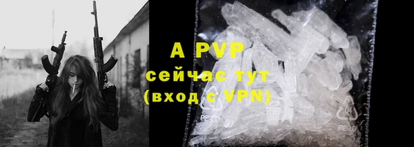 таблы Богородицк