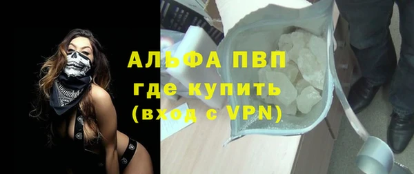 спайс Богданович