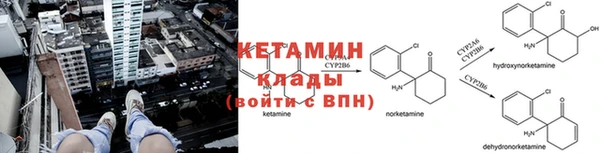 спайс Богданович