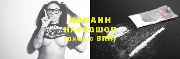 спайс Богданович