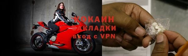 таблы Богородицк