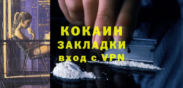 спайс Богданович