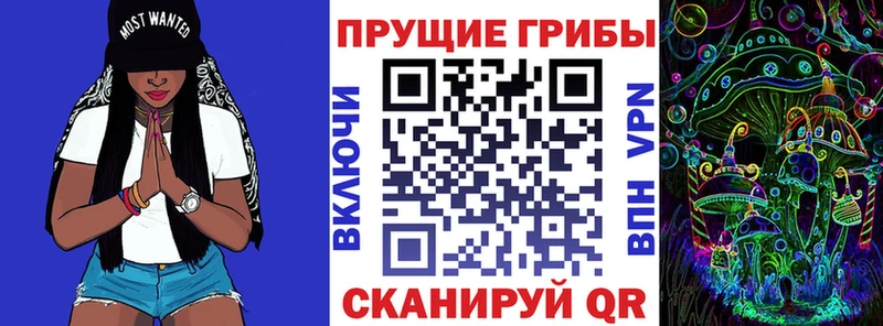 Псилоцибиновые грибы мицелий  ОМГ ОМГ ONION  Княгинино 